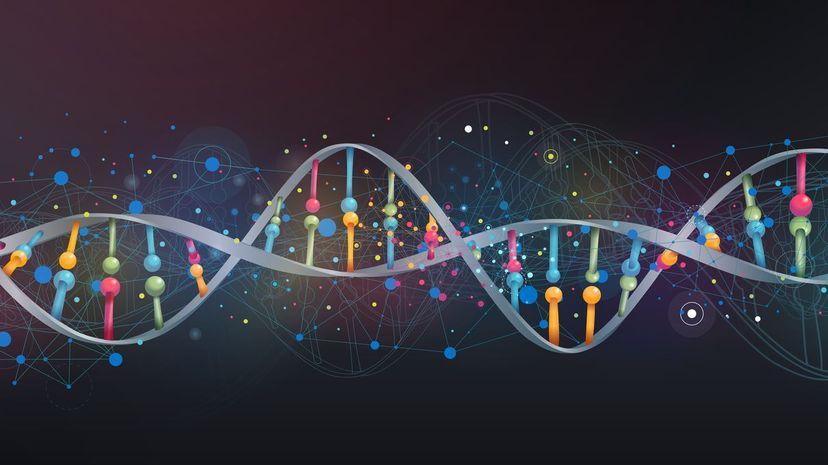 DNA