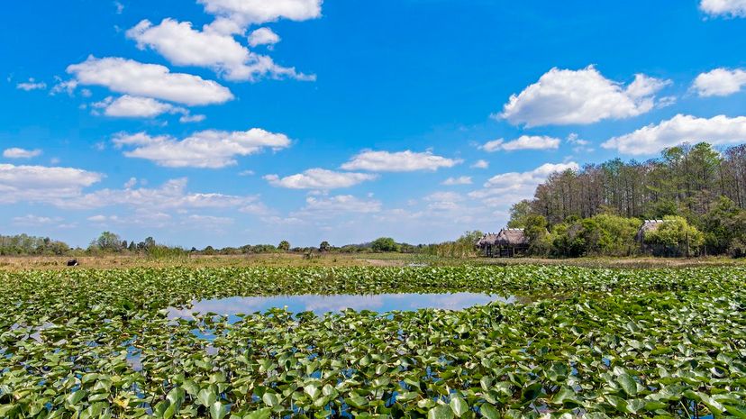 Everglades National Park