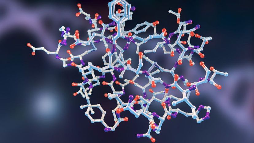 Molecular models