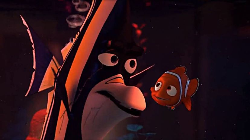 Finding Nemo