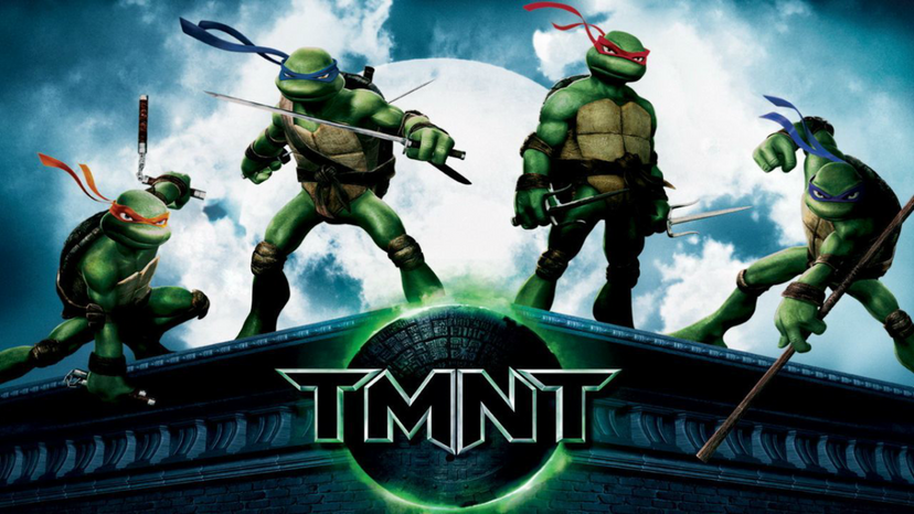 Which Teenage Mutant Ninja Turtle Are You?