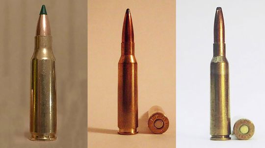 Only a Firearms Expert Can Identify What All of These Bullets Are Used For. Can You?