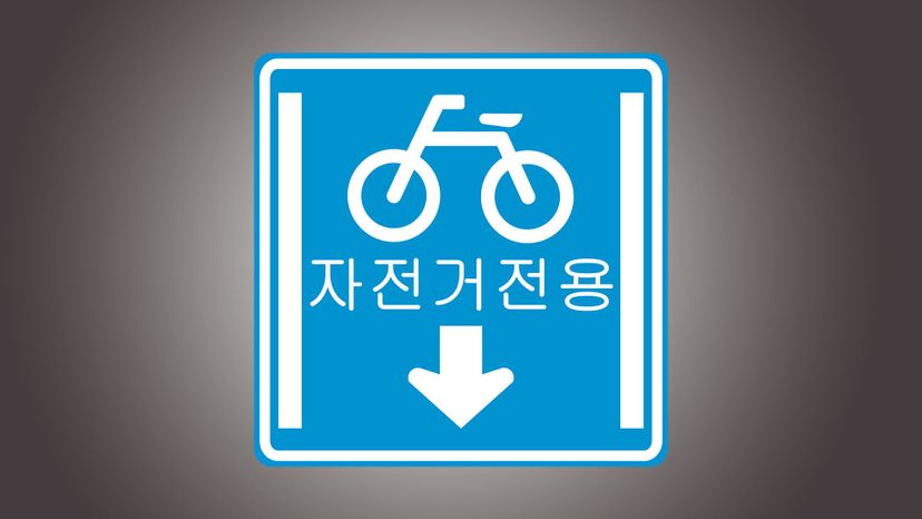 Bicycle lane path