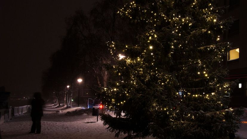 Christmas Tree in Finland