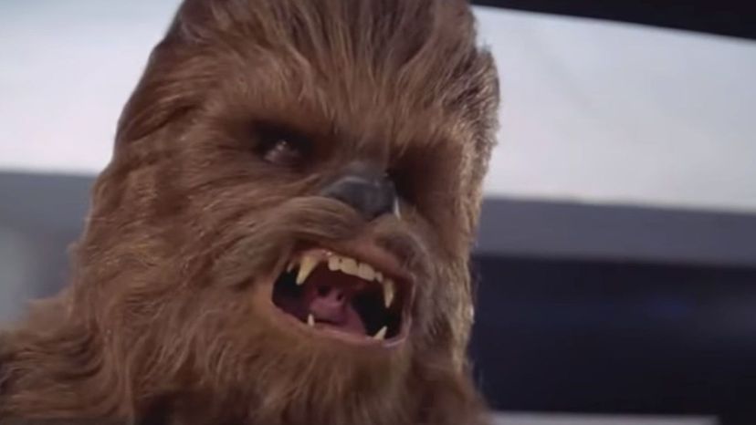 10.) Chewbacca