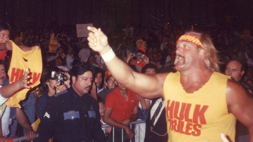 Hulk Hogan