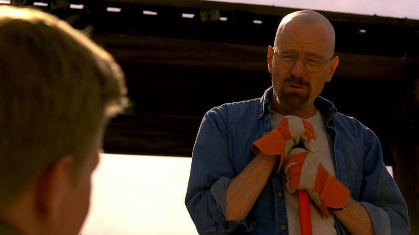 Walter White - Breaking Bad