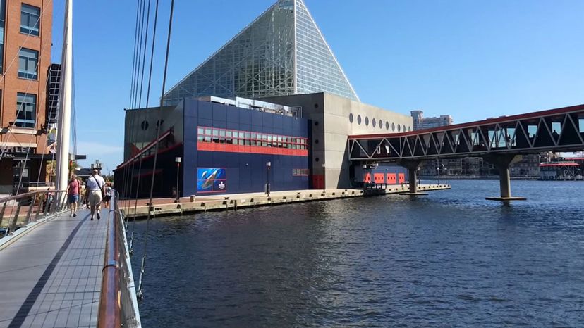 Baltimore - National Aquarium