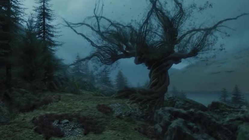 The Whomping Willow