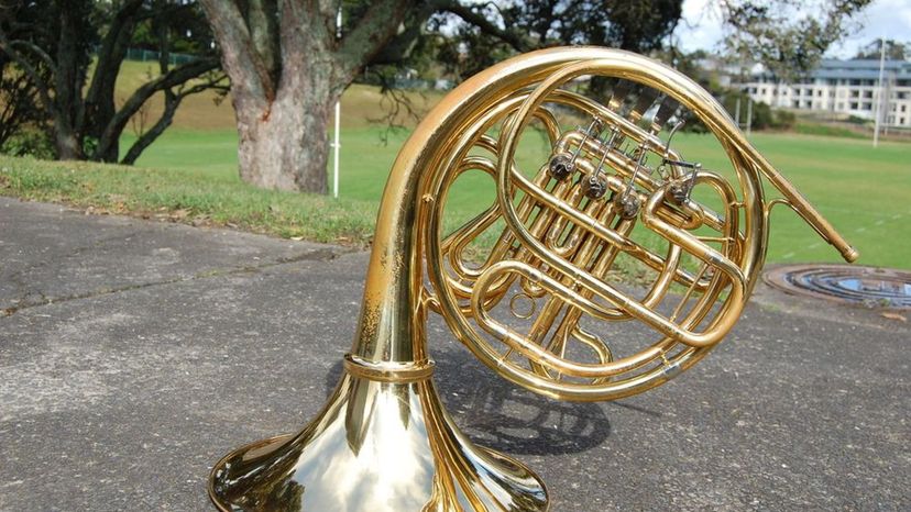 French Horn