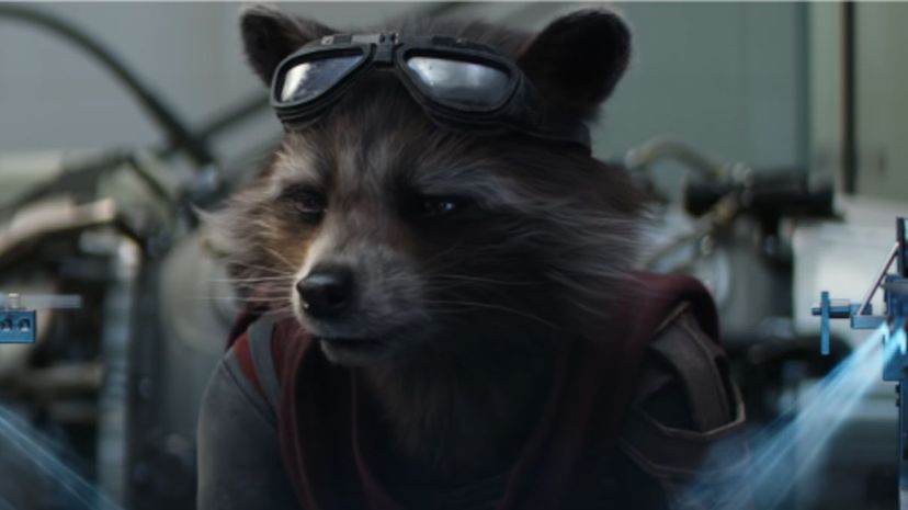 2 rocket racoon