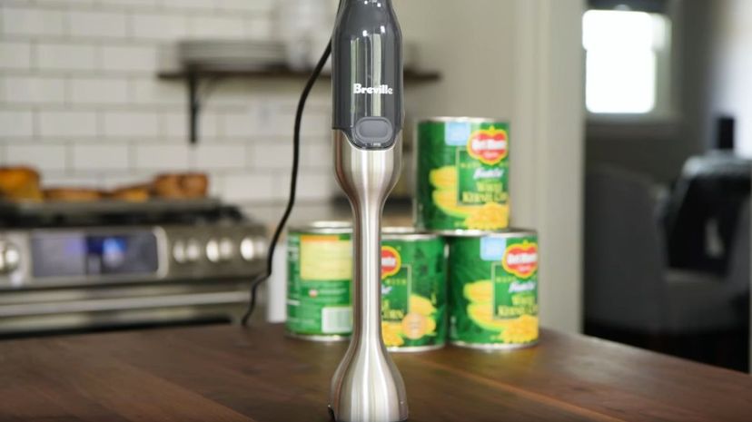 17 Immersion blender