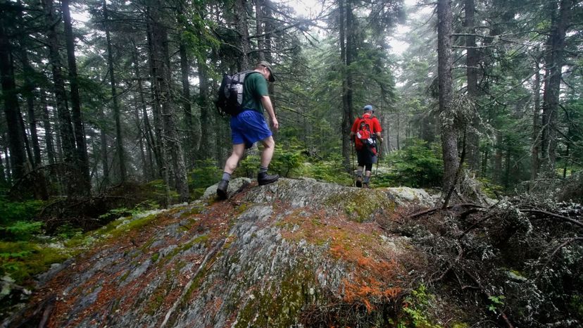 Test Your Knowledge: Famous Hiking Trails Quiz