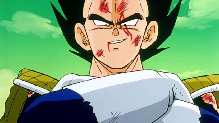 Vegeta  personagens de dragon ball