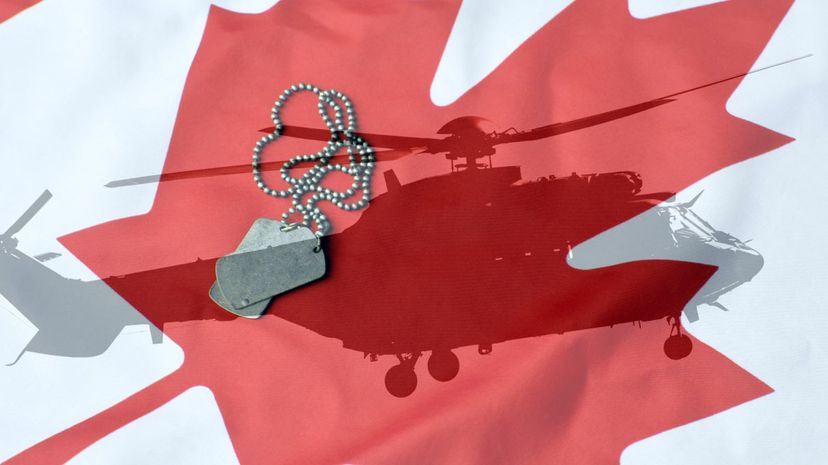 What Branch of the Canadian Armed Forces Do You Belong In?