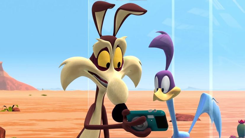 17 - Wile E. Coyote and Road Runner