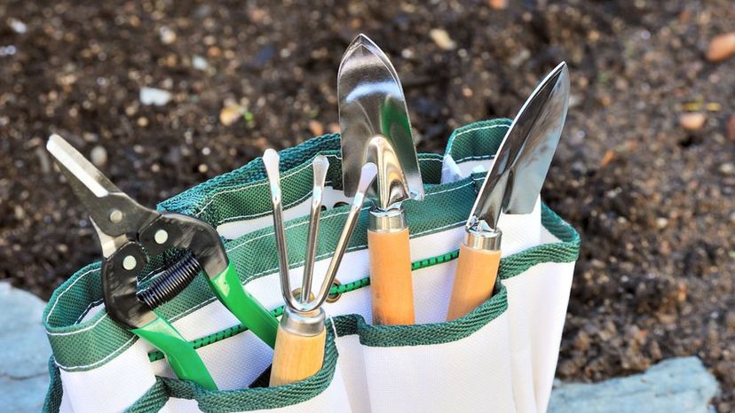 Gardening tool belt