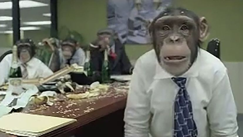Career Builder: Monkeys (2006)