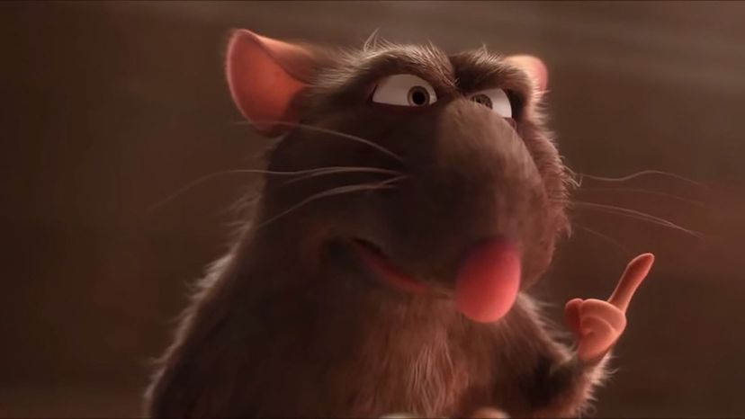 Django (Ratatouille)