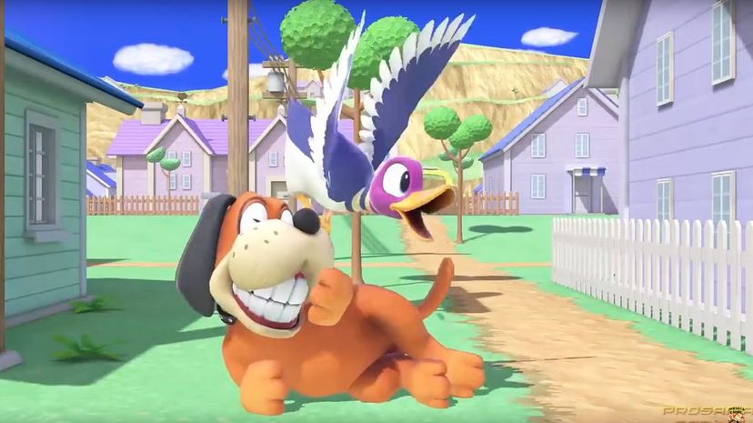 Duck Hunt Dog