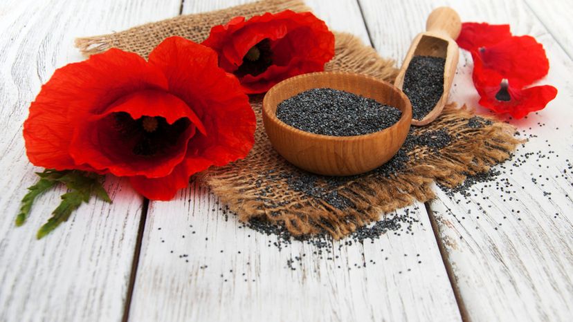 Poppy seeds