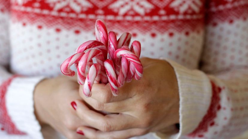 Woman hands holding candy canes