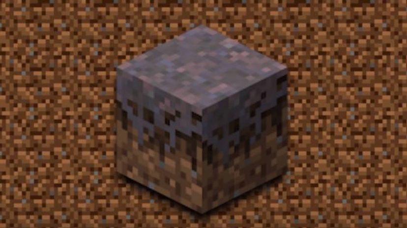 Mycelium Minecraft