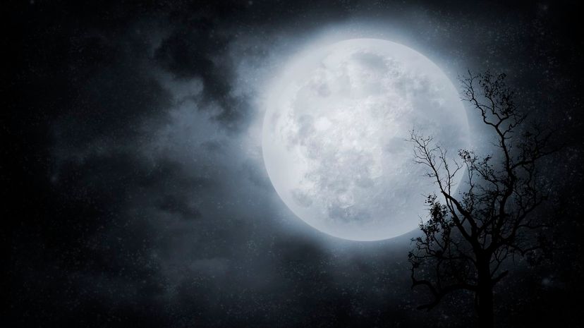 Answer These Random Questions and We'll Guess If You're the Moon or the Sun