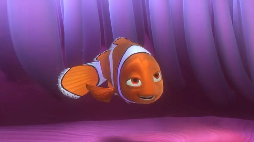 Nemo's Mom