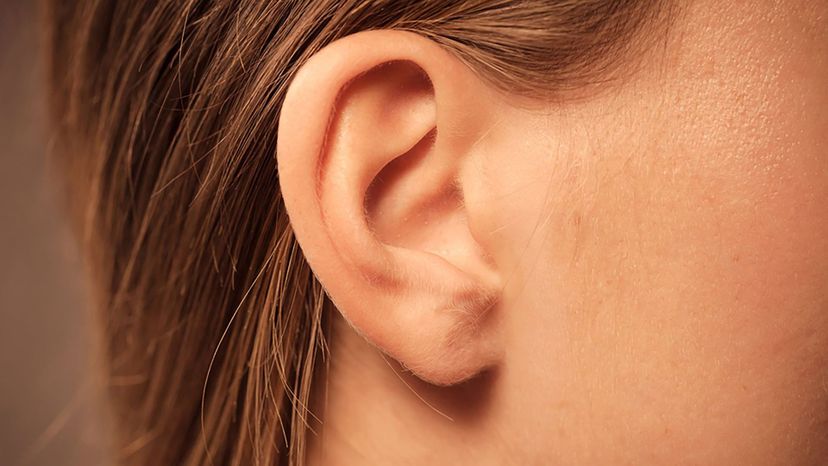 ear