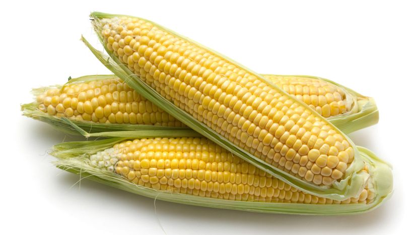 4 Corn Ears GettyImages-171344360