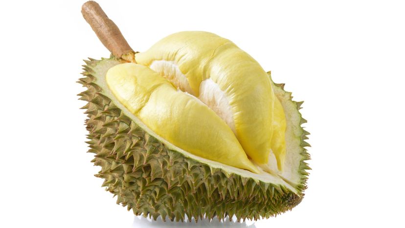 Durian