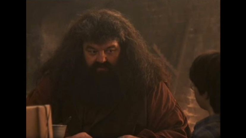 18 Hagrid Voldemort