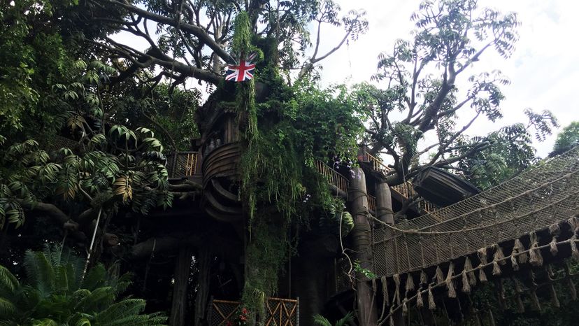 Tarzan Treehouse Disneyland