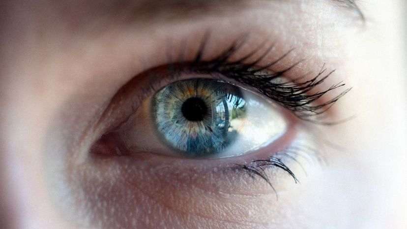 This Rapid-Fire Test Will Guess Your Eye Color