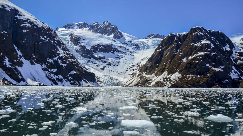 Kenai Fjords