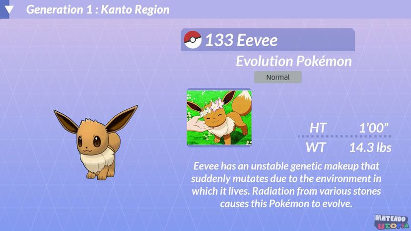 8 eevee