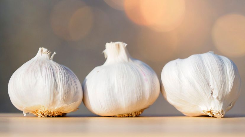 8 Garlic GettyImages-581672602