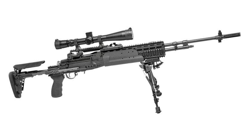 Mk 14 Enhanced Battle Rifle