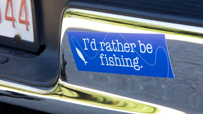 16_bumper stickers