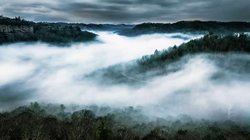 Fog