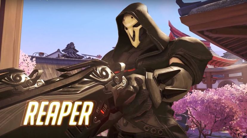 Overwatch Reaper