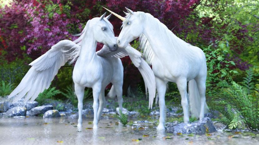 Are You a Pegasus or Unicorn?