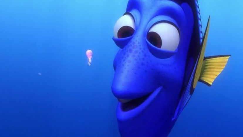 Dory