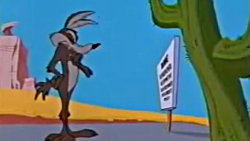 Wile E Coyote