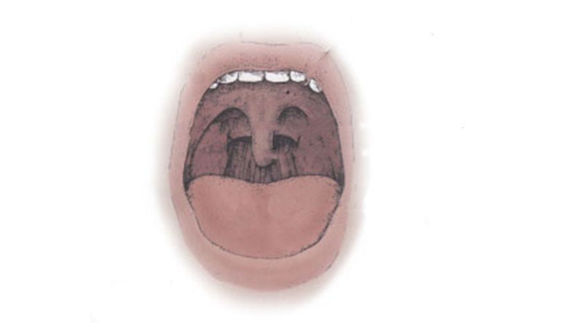 Mouth