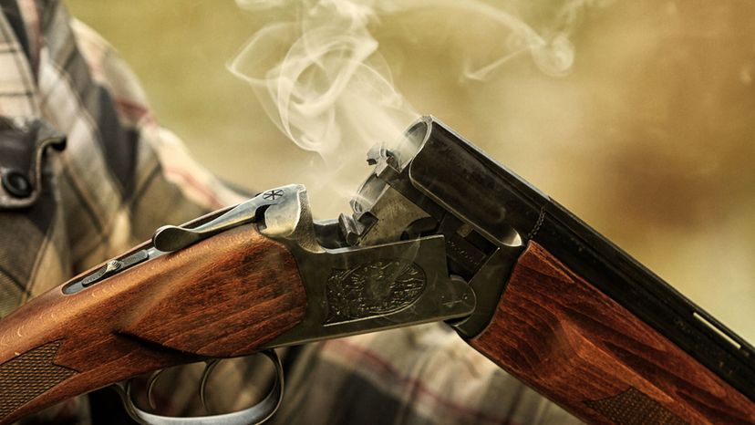 How Much Do You Know About These Legendary Rifles?