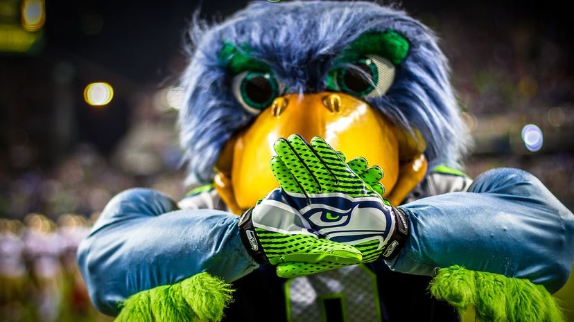 Can You Match the Sports Team to Their Real Mascot?