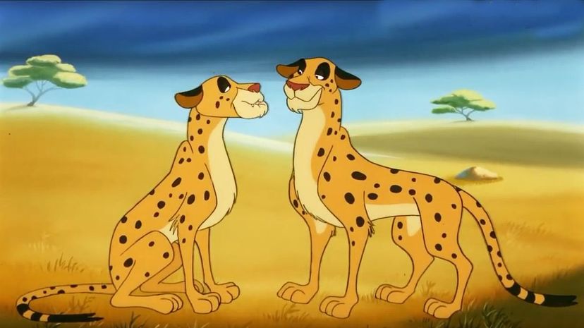 Cheetata and Cheetato