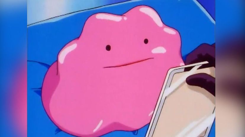 31 - Ditto